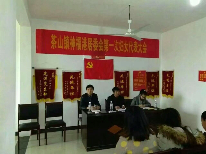 康琛悦参加村妇女代表代会妇联改建.jpg